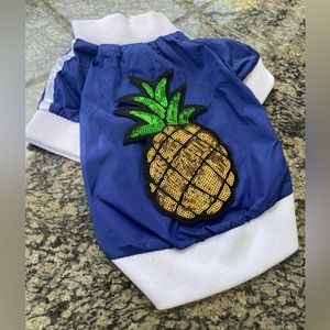 Varsity pineapple blue windbreaker jacket dog coat xs small toy puppy fruit